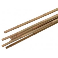 bamboestokken kopen